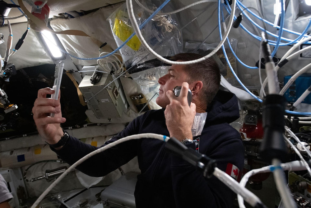 Skull Shaver in Space: Pitbull Diamond on Artemis II Mission